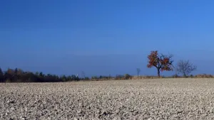 Trochu pláně