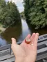 Kaštany východisek