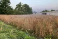 Ještě se spí v mlze