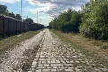 Cesta je zalitá sluncem