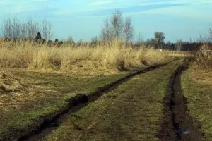 Jedna cesta v poli