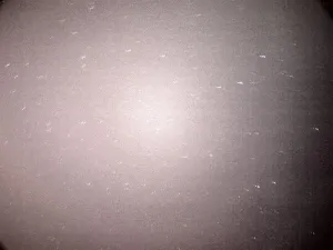 Hvězdný pokus chytit UFO
