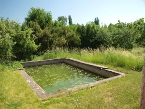 Hotová nádrž s žábami