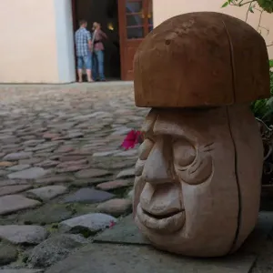 Hříbek na zemi