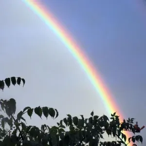 Rainbow-part, ohmygod