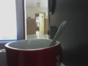 Pracovní morálka jak vyšívaná