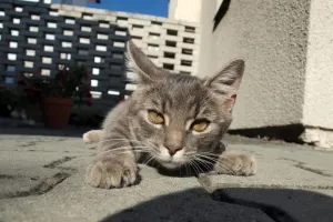Relaxace podruhé