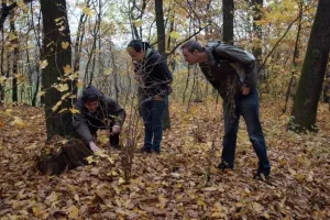 Kačeři