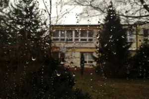 Budníkové deště