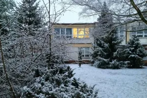 První sněhová