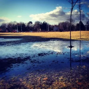 Here comes the Spring
