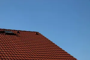 Venice rooftops XII