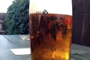 First check at beer garden