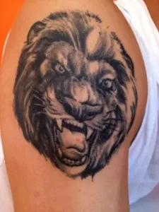 Carlosovo Lion