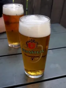 Na zdravotní procházce