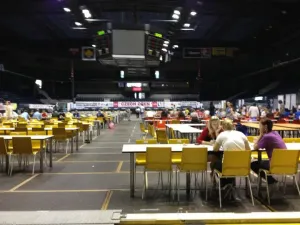 CzechOpen