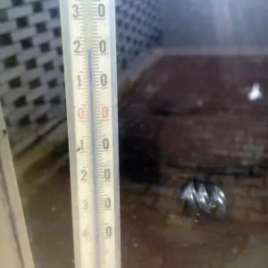 Slunečnění