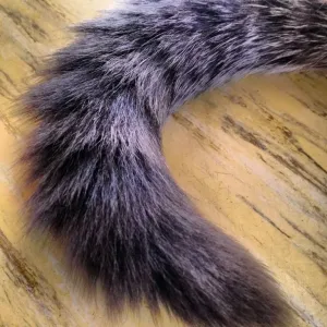 Ocasník
