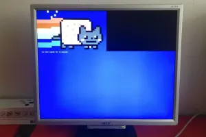 Nyan server