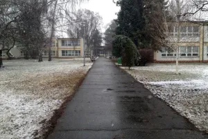 Sněžná cesta