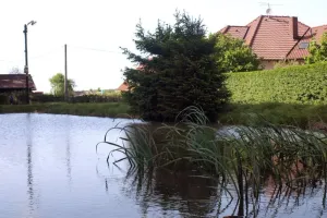 Průmyslový rybník