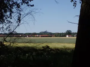Kuňk, kuňk...