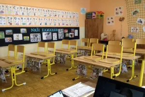 Naši kočičí kamarádi
