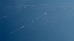 Web Sky NET