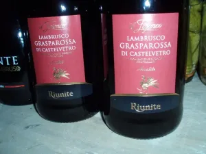 Grasparossa di Castelvetro