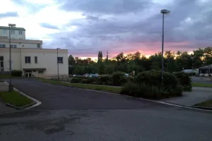 Nemocniční rudoroh