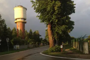 Falocentrická procházka