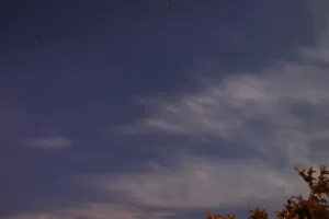Kasiopeia nad stromem