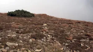 Post-apo okraj