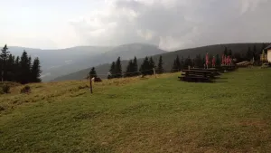 Kraví dobrodružství