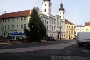Letošní divný strom