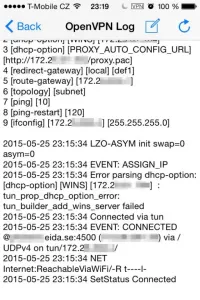 OpenVPN log
