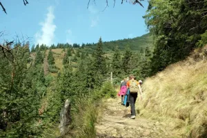 Výprava do kopce