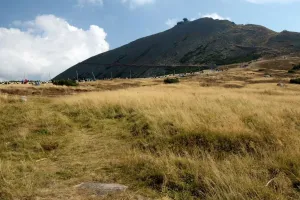 Vytoužená Šnekopa