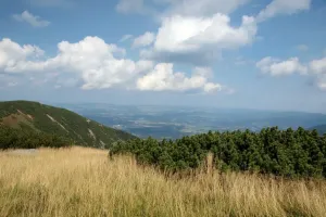 Pohled ku kamsi do Polska