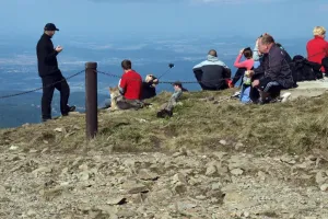 Slečna a sleftyč