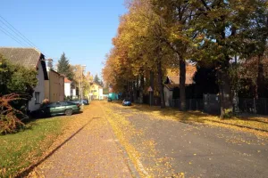 Cesta zalitá zlatem