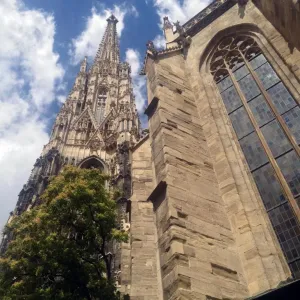 Stephansdom nad stromem