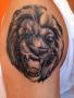 Carlosovo Lion