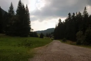 Ohlédnutí