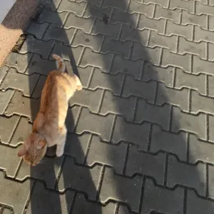 Setktání