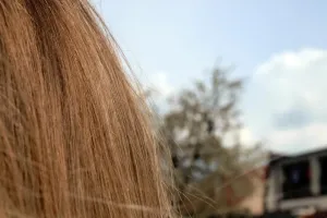 V záři paprsků