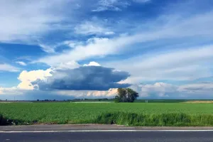 Cestou za koláčky