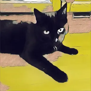 Čas na kočení