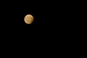 21:28:51