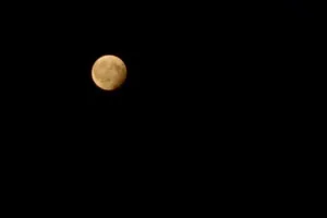 21:29:31